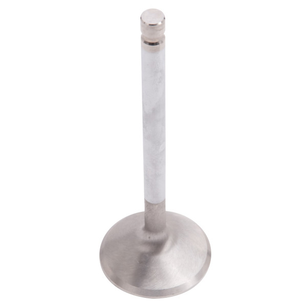 Exhaust Valves, 1.76", For #60679, #60699, #61669, #61649